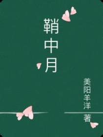 鞘中月